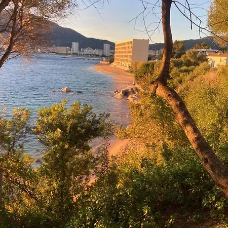 T2 Standing Аяччо